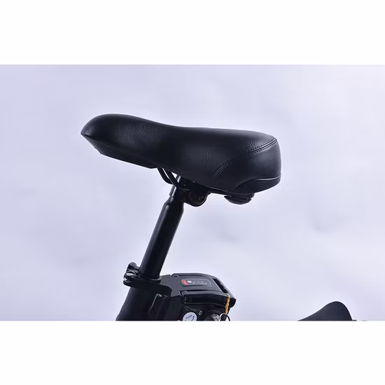 500W 750W Step Through 48V/20ah Folding Electric Fat Motor E-Bicycle