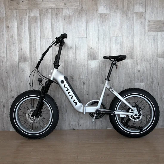 Vtuvia Foldable Step Through Electric Bicycle 20 Inch Fat Tire 750W Ebike 500W 48V Electric Bike 7 Speeds Ebike