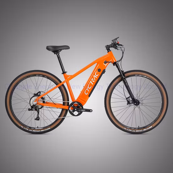 Hot Sale 48V 500W Bafang Motor MID-Drive Style Hydraulic Disc Brakes Softail Motor Mountain Electric Dirt Bike