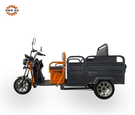 3 Wheel Electric off Road Vehicles 3 Wheel Tricycle Electric Handicap_Scooter Three Wheels EEC Coc Certificate