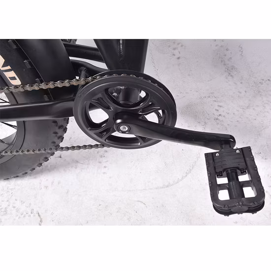 20 Inch Electric Foldable Electric Bicycle with Lithium Battery
